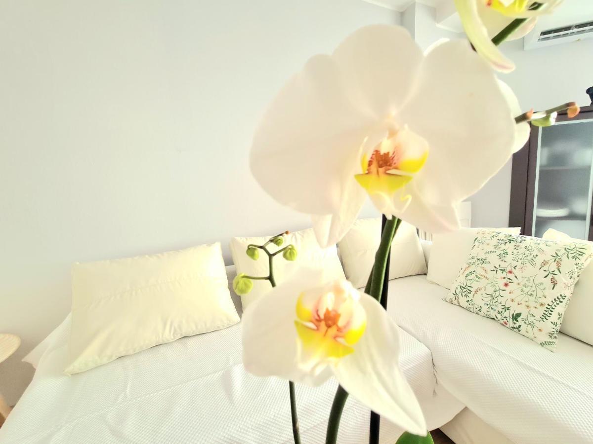 Aa Guest - El Mono De Torre Del Mar Eco Apartment Dış mekan fotoğraf