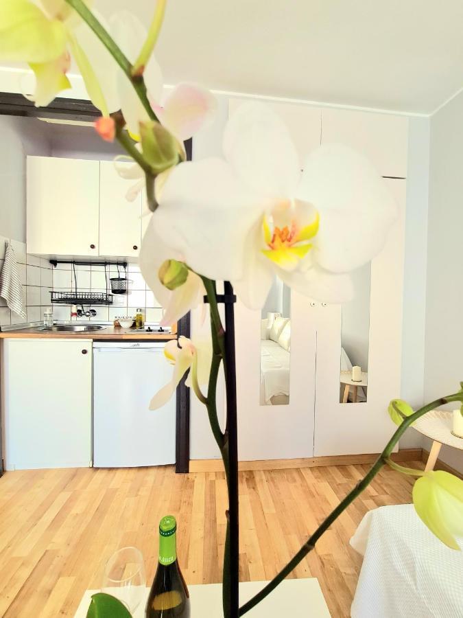 Aa Guest - El Mono De Torre Del Mar Eco Apartment Dış mekan fotoğraf